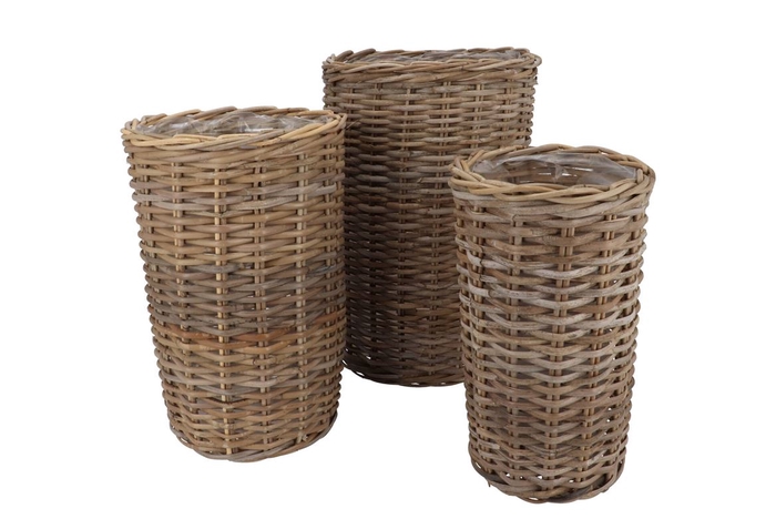 Rattan Ivy Natural Cilinder Set 3 23x40/27x45//34x50cm Nm