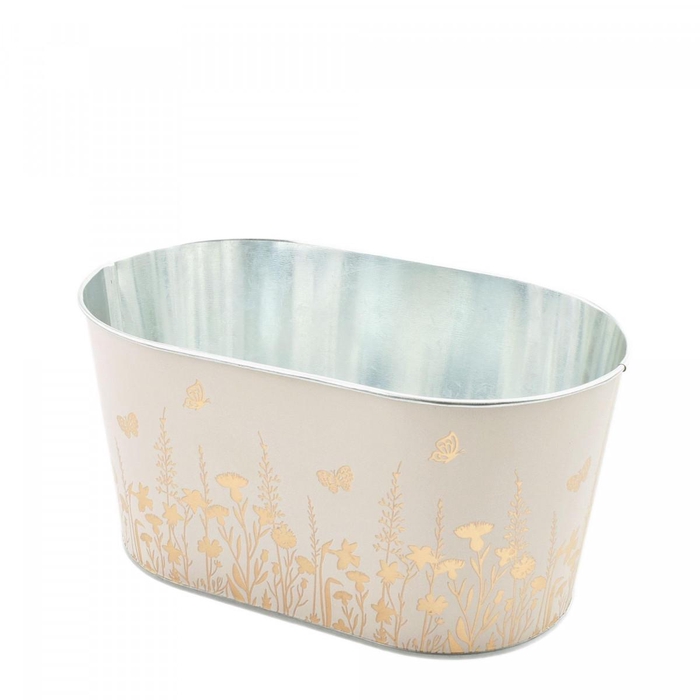 <h4>Alossi bak 22*14*11cm</h4>