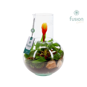 Green Bottle Suzanne Medium met Bromelia arrangement