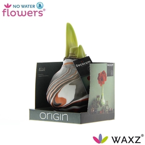 No Water Flowers Waxz® Artooz Earth Copper Boxz(Decorum)