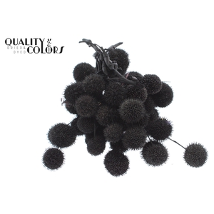 Small ball per bunch in poly Black