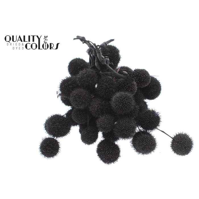 <h4>Small ball per bunch in poly Black</h4>