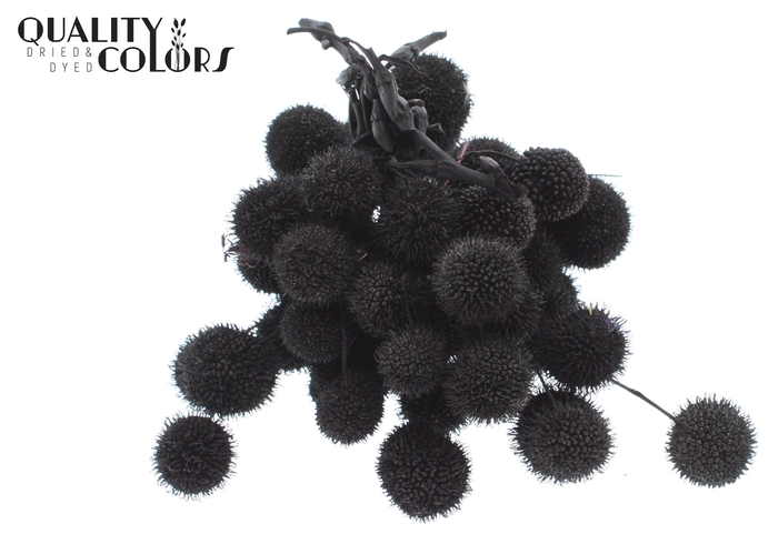 Small ball per bunch in poly Black