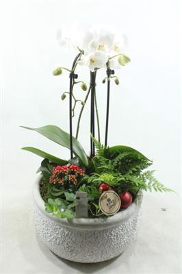 <h4>1805 Ker Grey Cascade</h4>