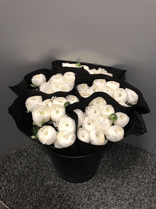 <h4>Ran Suc Niveo Sup</h4>