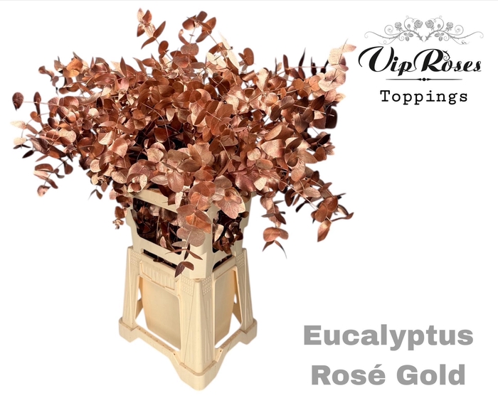 <h4>Euca Cinerea Rosé Gold</h4>