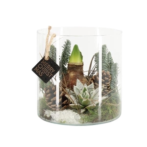 61709: X-mas arrangement