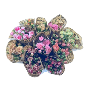 BQ Mono Tros Dianthus 10 stems