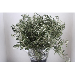 Olijf 500gram Xxl P Bunch