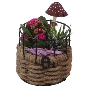 PTHI3357 Arrangement Autumn Indoor in touwmand met metaal