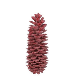 Dennenappels Suger pine wax 35cm