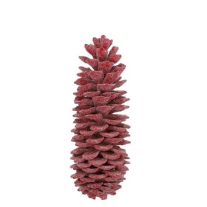 Dennenappels Sugar pine wax 35cm