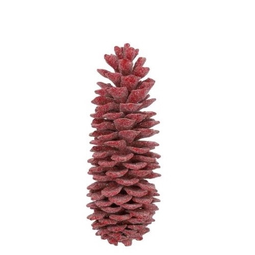 <h4>Dennenappels Sugar pine wax 35cm</h4>