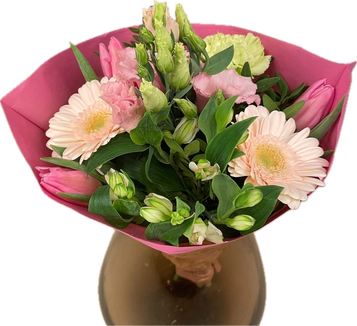 <h4>Bq Spring Sweet S</h4>