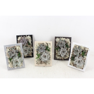 arr3 Demi - Schilderij