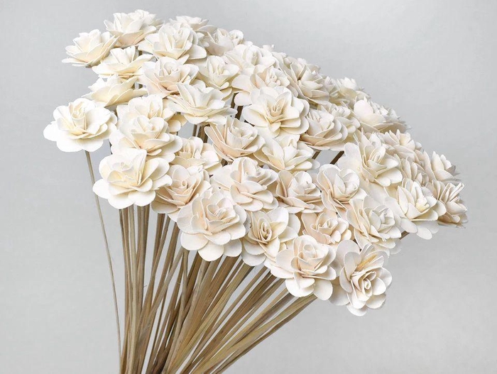 <h4>Dried Wood Rose</h4>