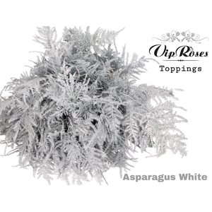 Asp Ov Getopt Lang Wit