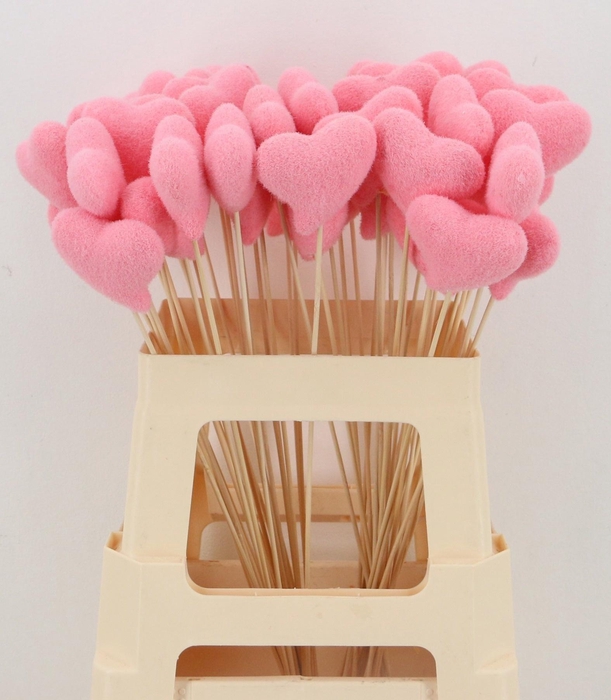 <h4>HUIS EN TUINDECO H%</h4>