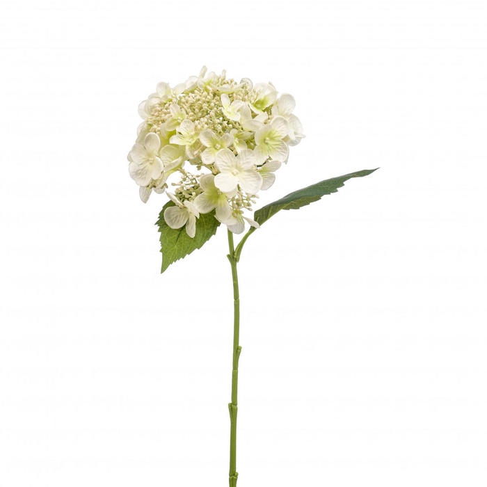 <h4>Kunstbloemen Hydrangea 50cm</h4>