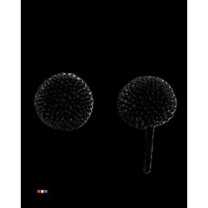 Craspedia Black