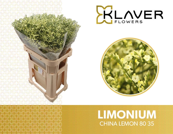 <h4>Lim Sin China Lemon</h4>