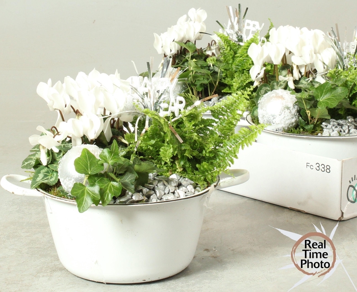 <h4>ARR KAMERPL</h4>