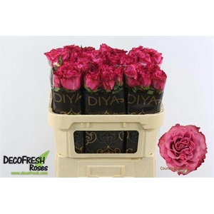 R Gr Country Blues Extra Diya