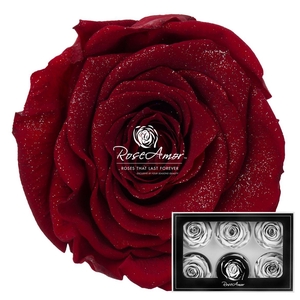 Lplus Diamond Dust Red01