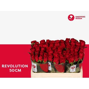 R GR REVOLUTION