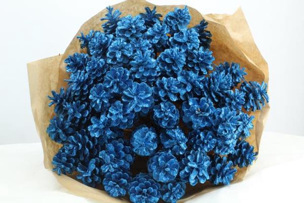 <h4>Droog Denn Blauw X40</h4>