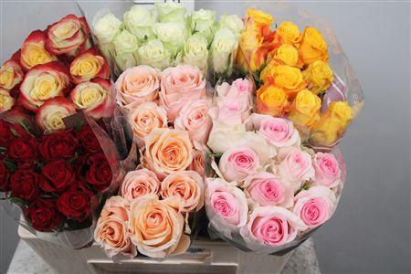 <h4>R Gr Gemengd In Fust</h4>