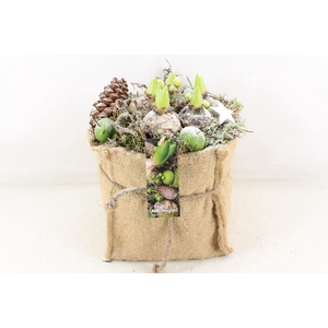 arr4 Hyacint MB - Jute zak XL