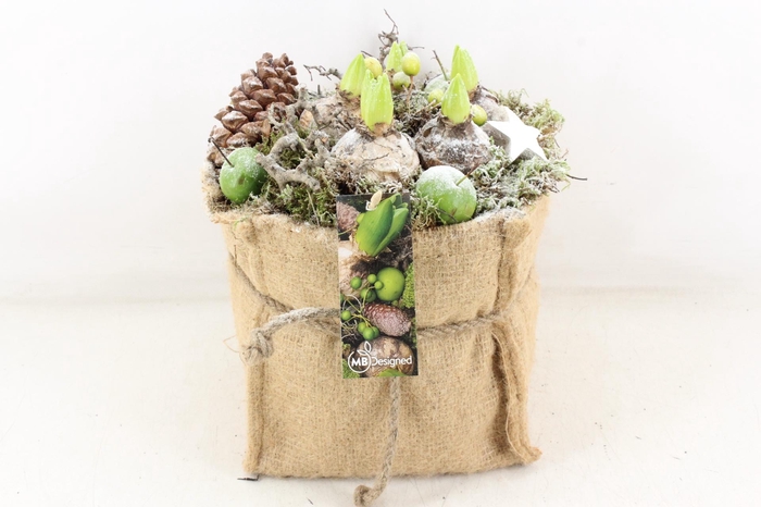 <h4>arr4 Hyacint MB - Jute zak XL</h4>