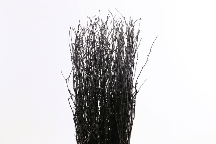 <h4>Berk Klb Black</h4>