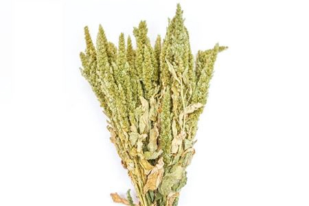 <h4>Bunch Amaranthus Slv 200g L50</h4>