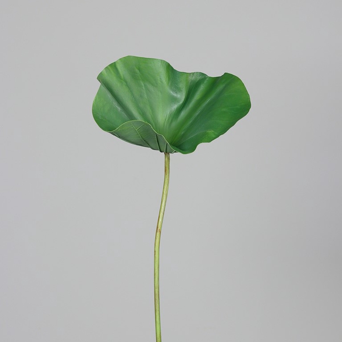 <h4>Lotus leaf 132cm green</h4>