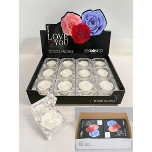 R PRESERVED DIAMANT WIT