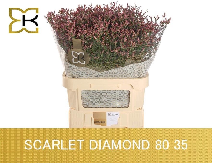 <h4>Lim Sin Scarlet Dia</h4>