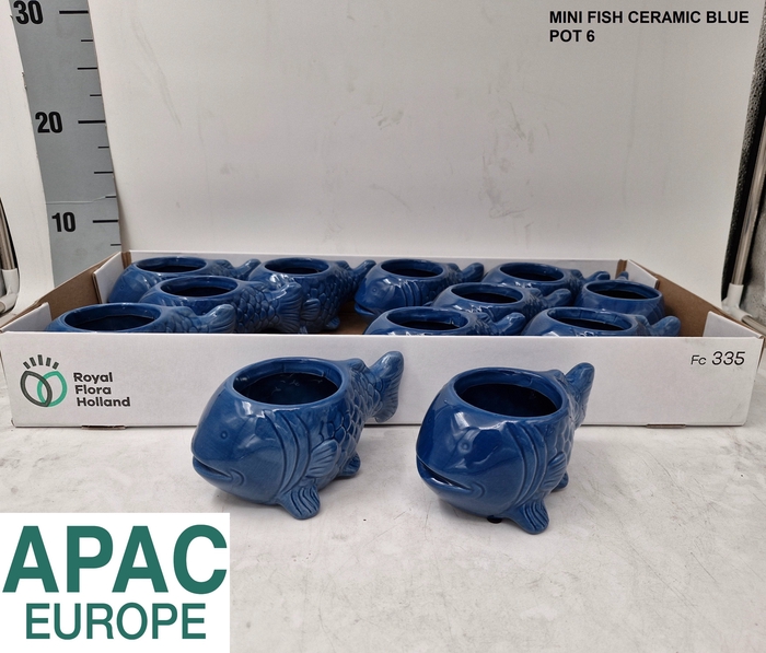 <h4>KERAMISCHE POT H%</h4>
