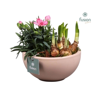 Schaal keramiek Moon Small blush pink Voorjaar met Arrangement