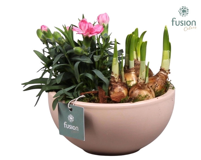 <h4>Schaal keramiek Moon Small blush pink Voorjaar met Arrangement</h4>