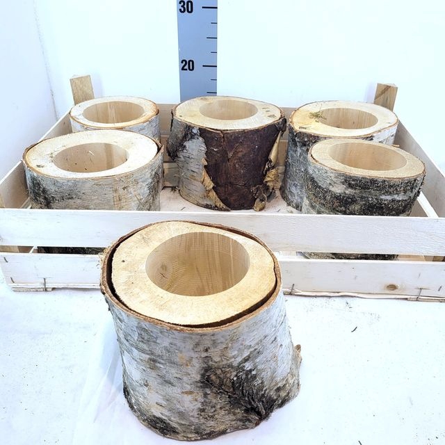 <h4>DECO WOOD BARK POT 20CM X6</h4>