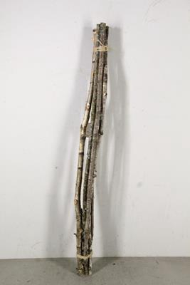 Birch Stem 100cm (5pc)