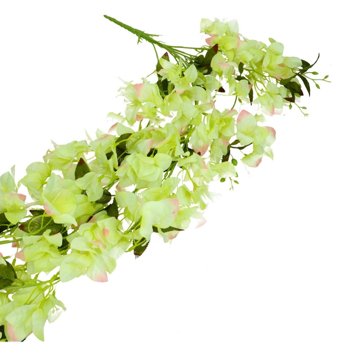 <h4>Bougainville guir.126cm</h4>