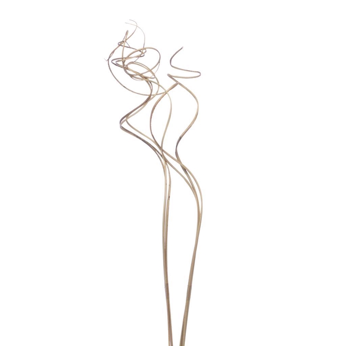 <h4>Curly Ting Ting 3pc Toef Natural</h4>