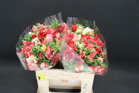 <h4>Anem Zwaar Rood</h4>