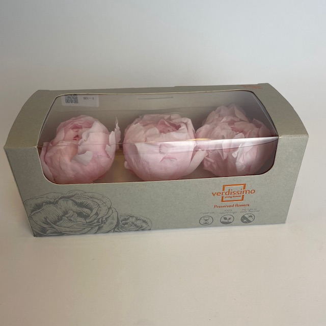 <h4>Peony past. pink pres. l</h4>