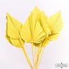 Dried Palm Spear 10pc Yellow Bunch