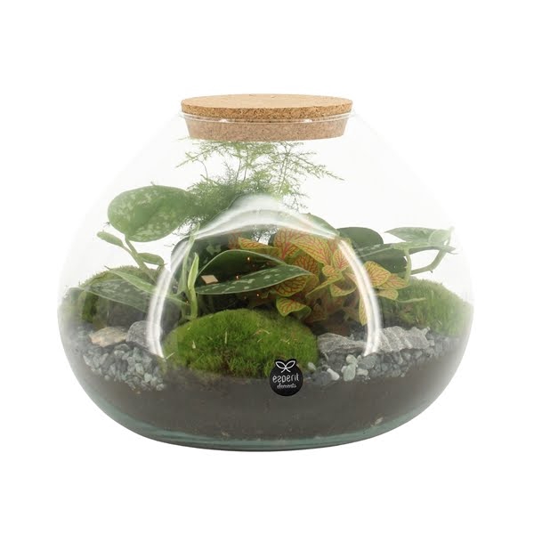 <h4>Terrarium Type 90515</h4>