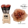 R GR CAFE LATTE x 20